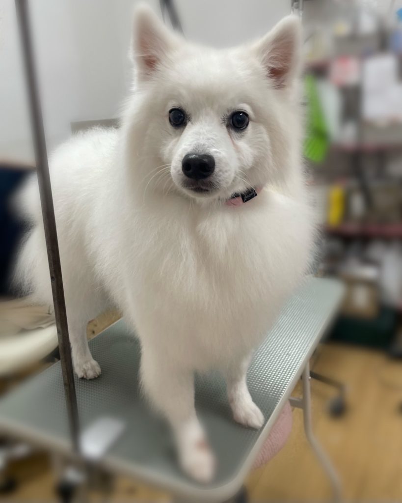 もちくん