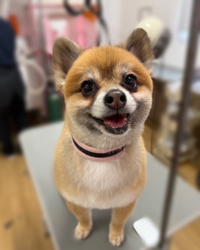 てるみちゃん