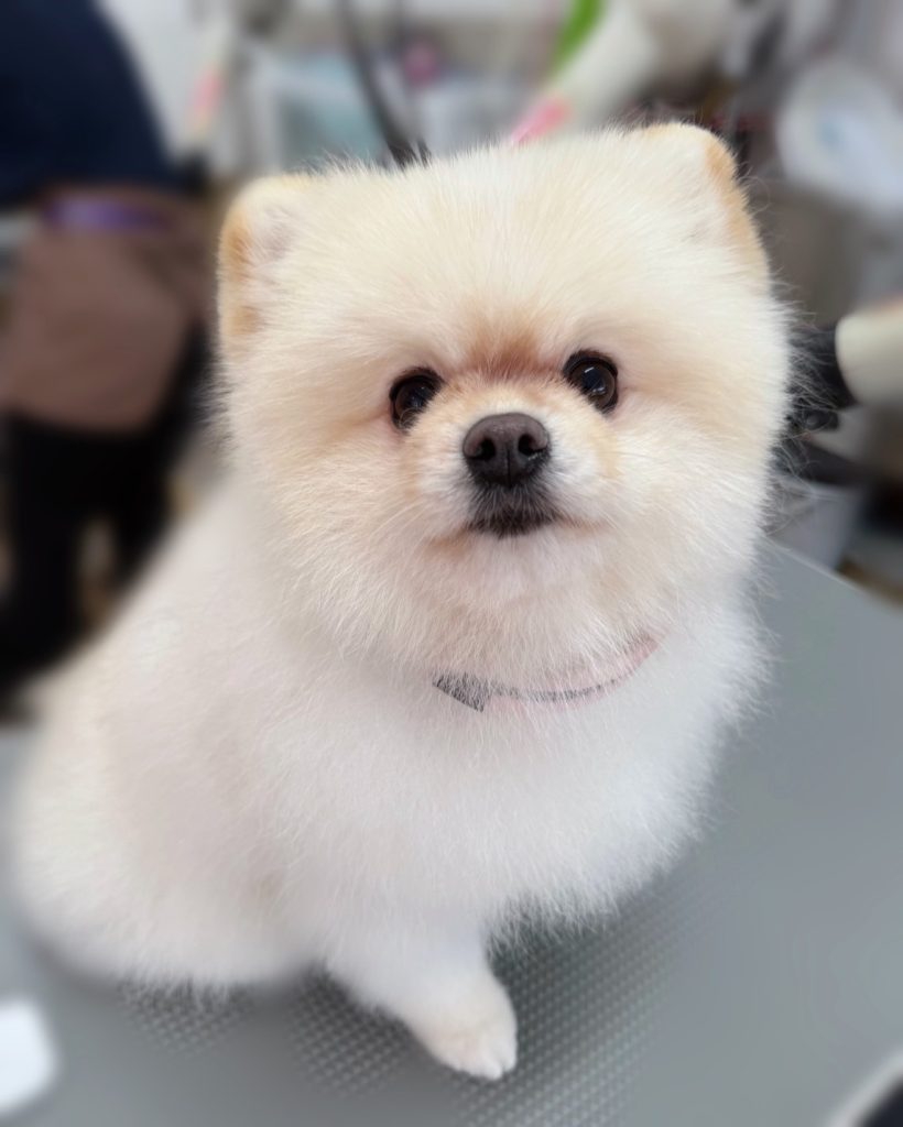まるちゃん