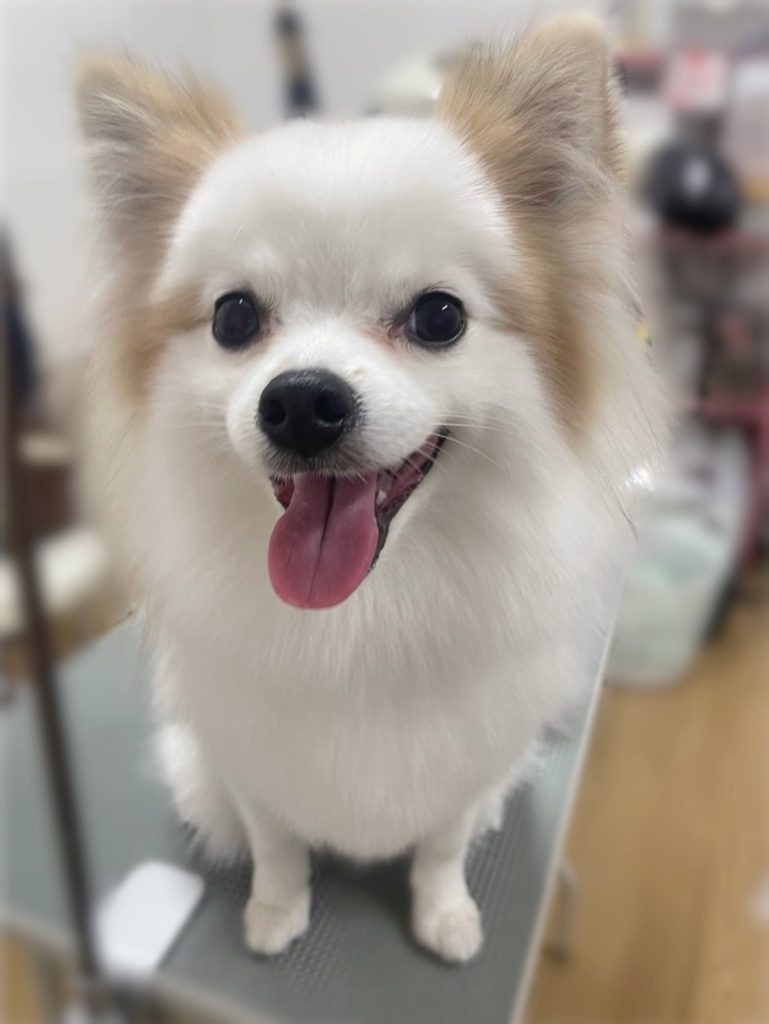 らいむくん
