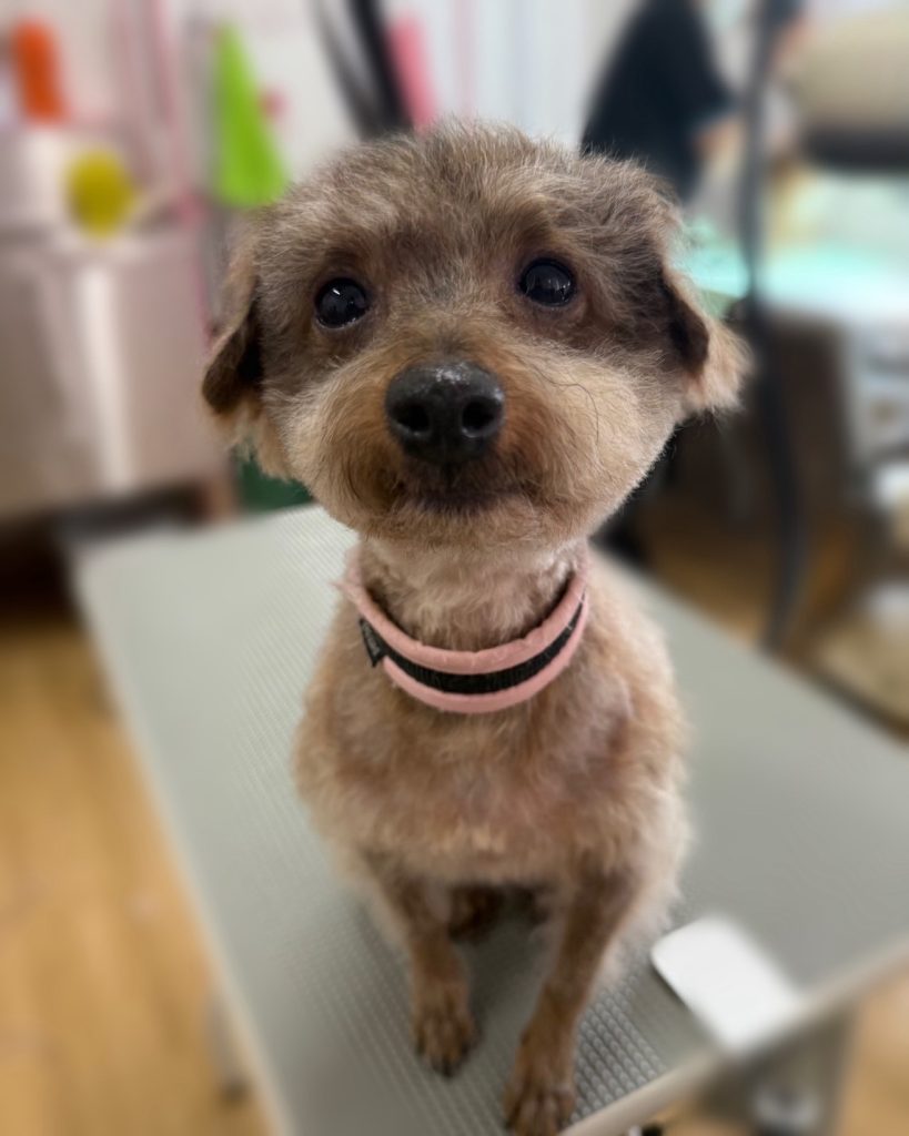 さちちゃん