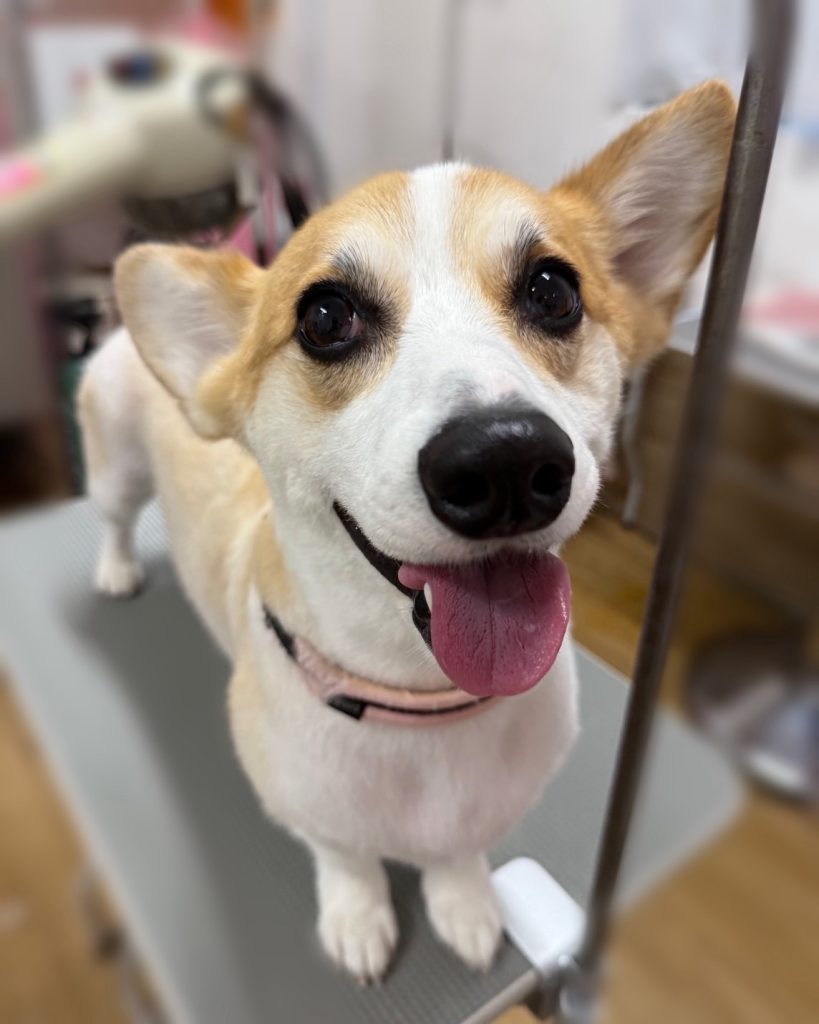 天ちゃん