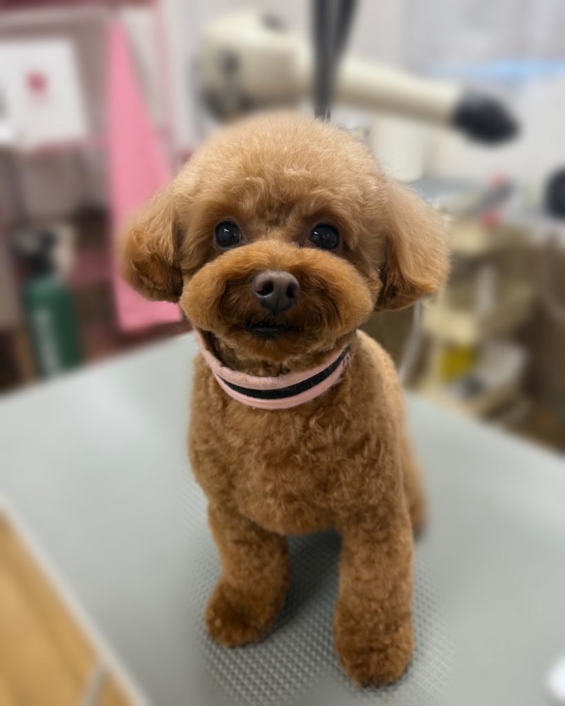 ＭＯＫＯちゃん