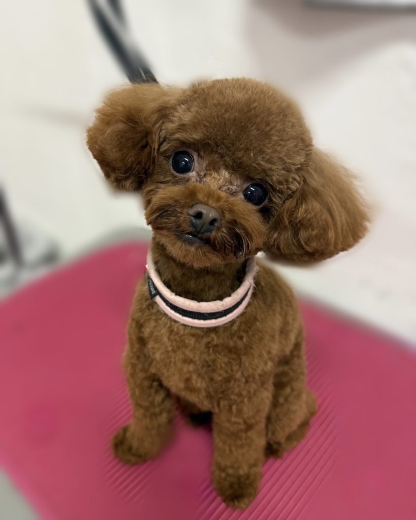Ｕｒｕちゃん