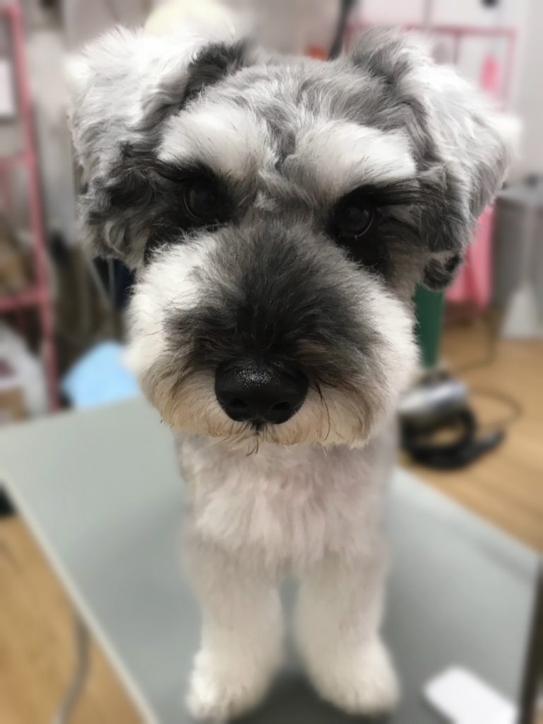 がんたくん