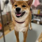 く3.jpeg