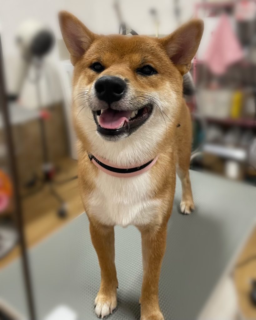 空くん
