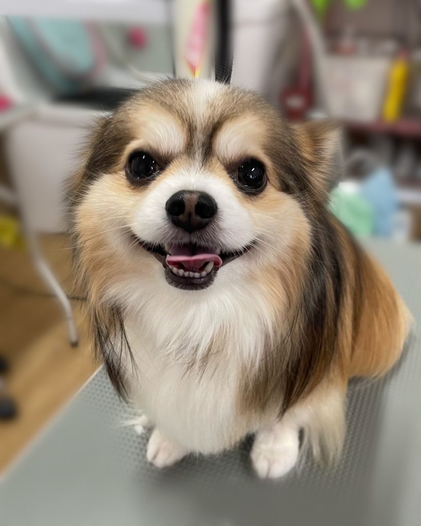 七宝くん
