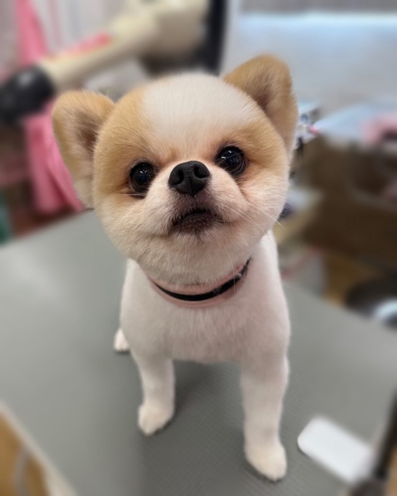 想空くん