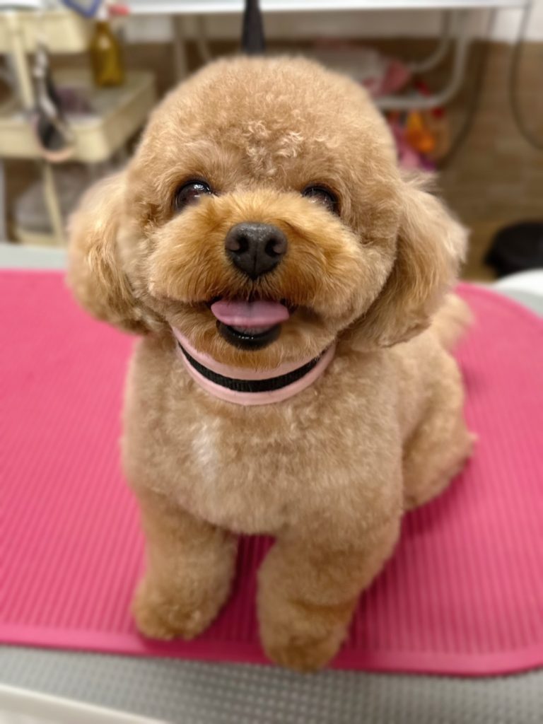 つぶ吉くん