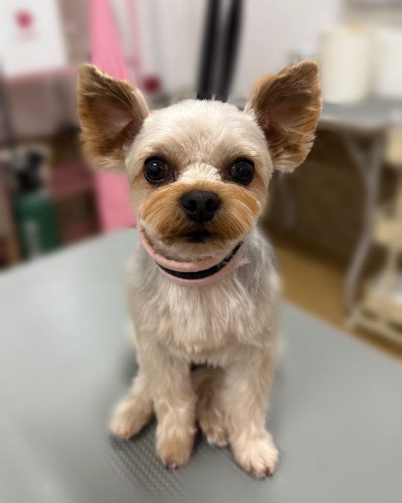テツくん