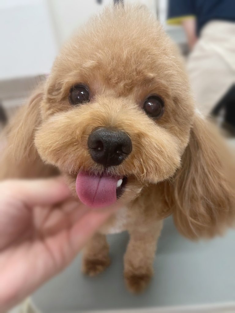 はちくん