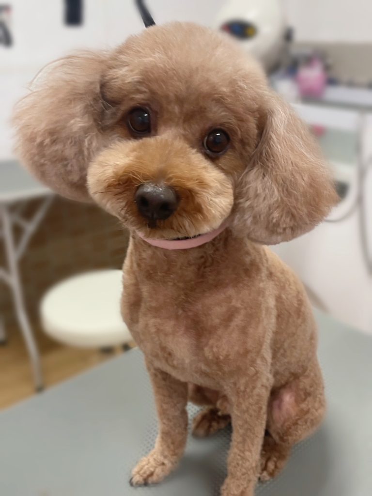 ハピくん
