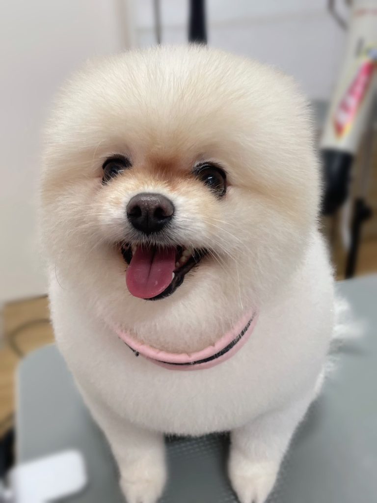 まるちゃん