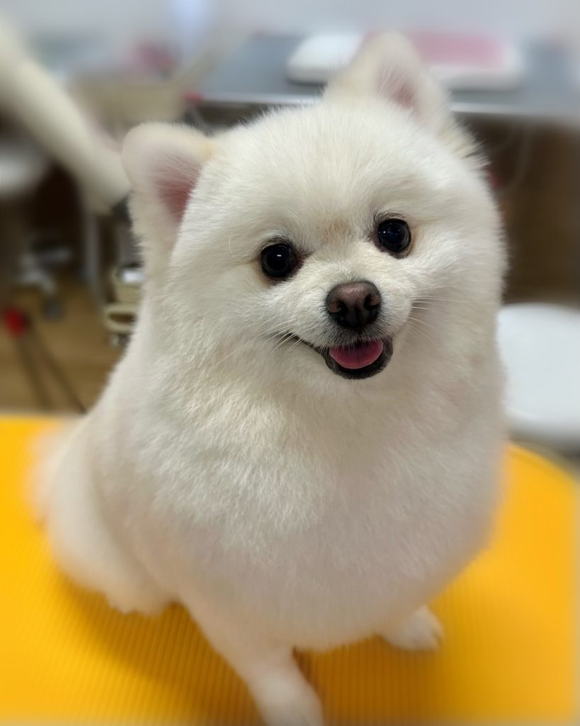 ジャーニーくん