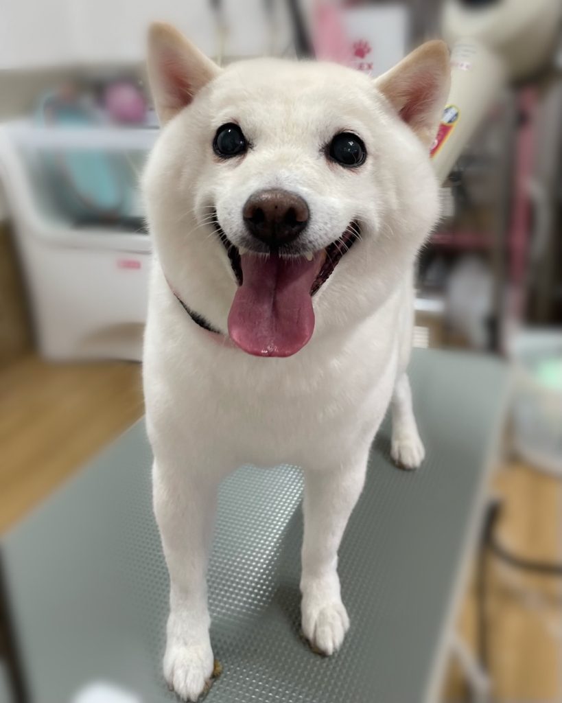 ゆばちゃん