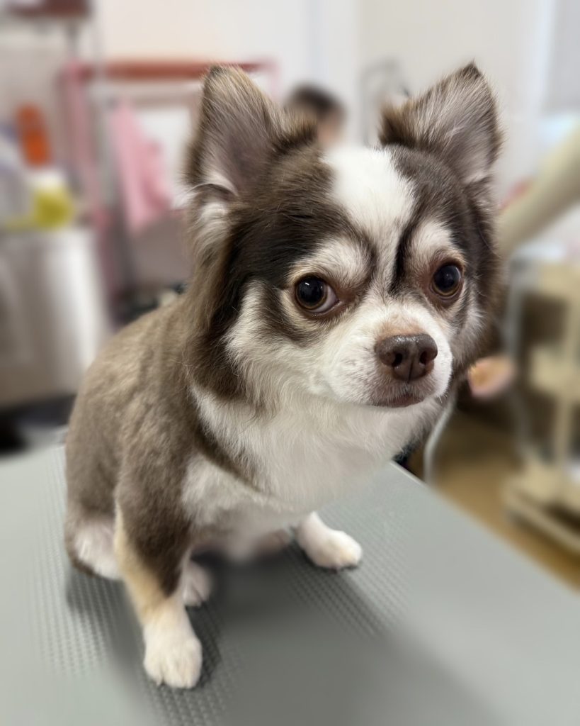 らいむくん