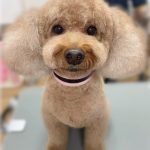ルークくん