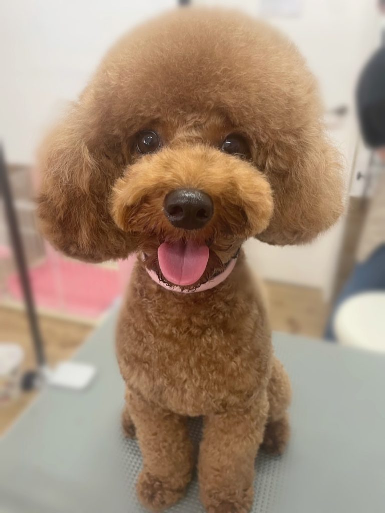 塁くん