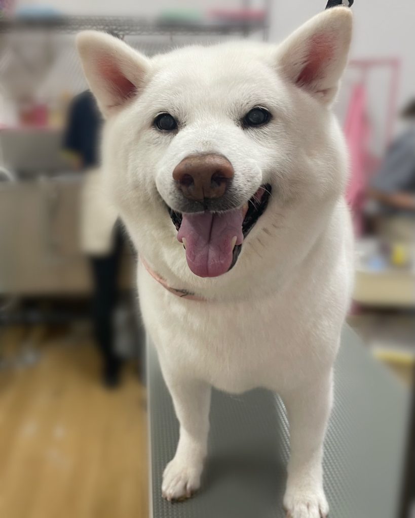りゅうくん