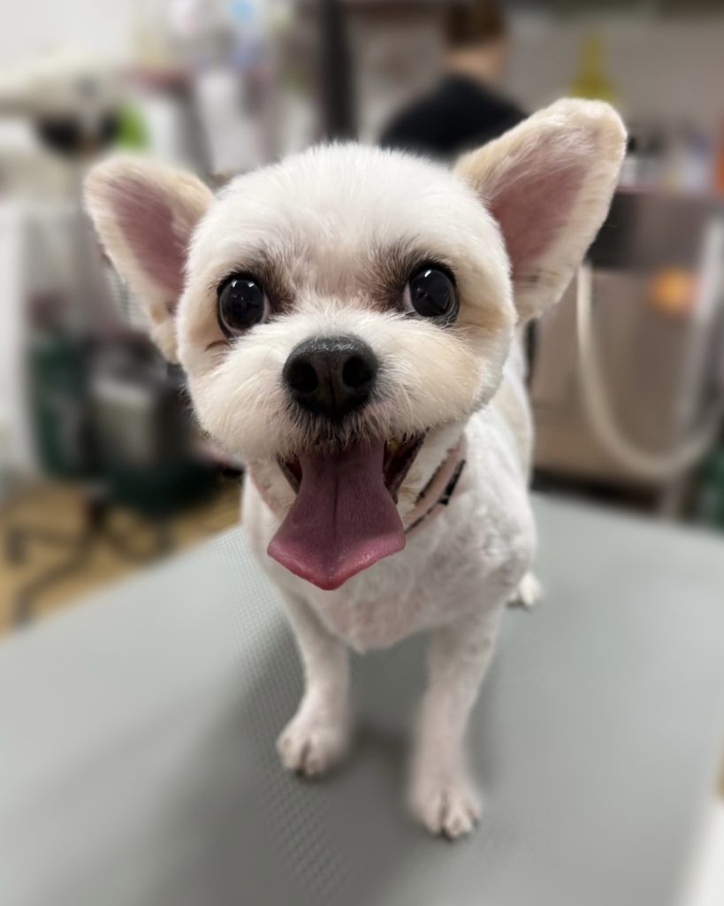 かんたろうくん