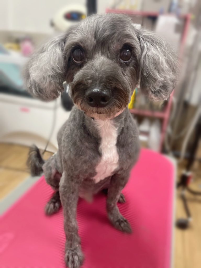 れんたろうくん