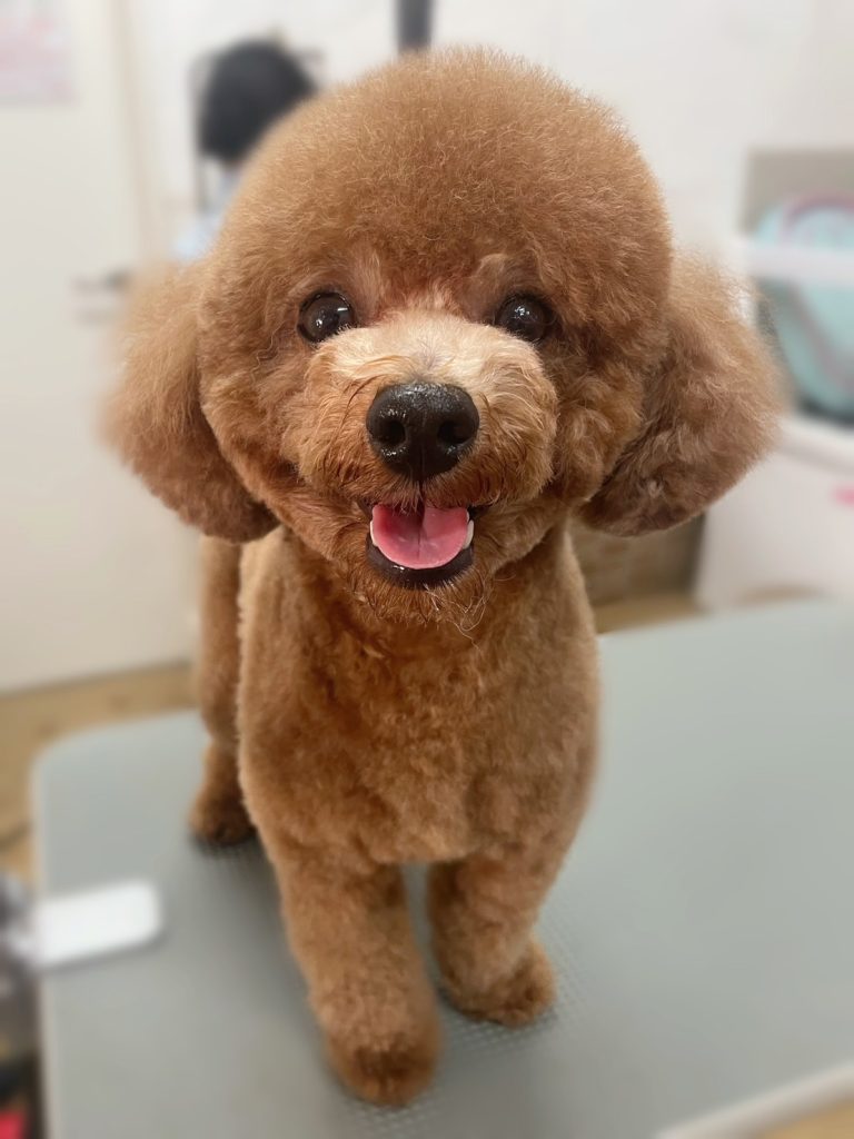 ＬＵＣＫＹくん