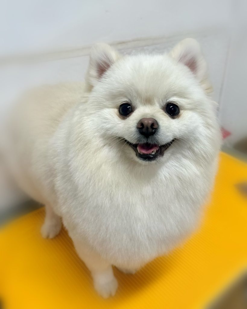 ジャーニーくん