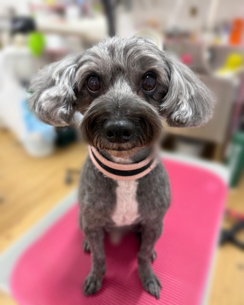 れんたろうくん