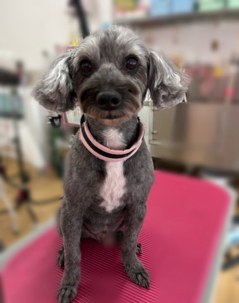 れんたろうくん