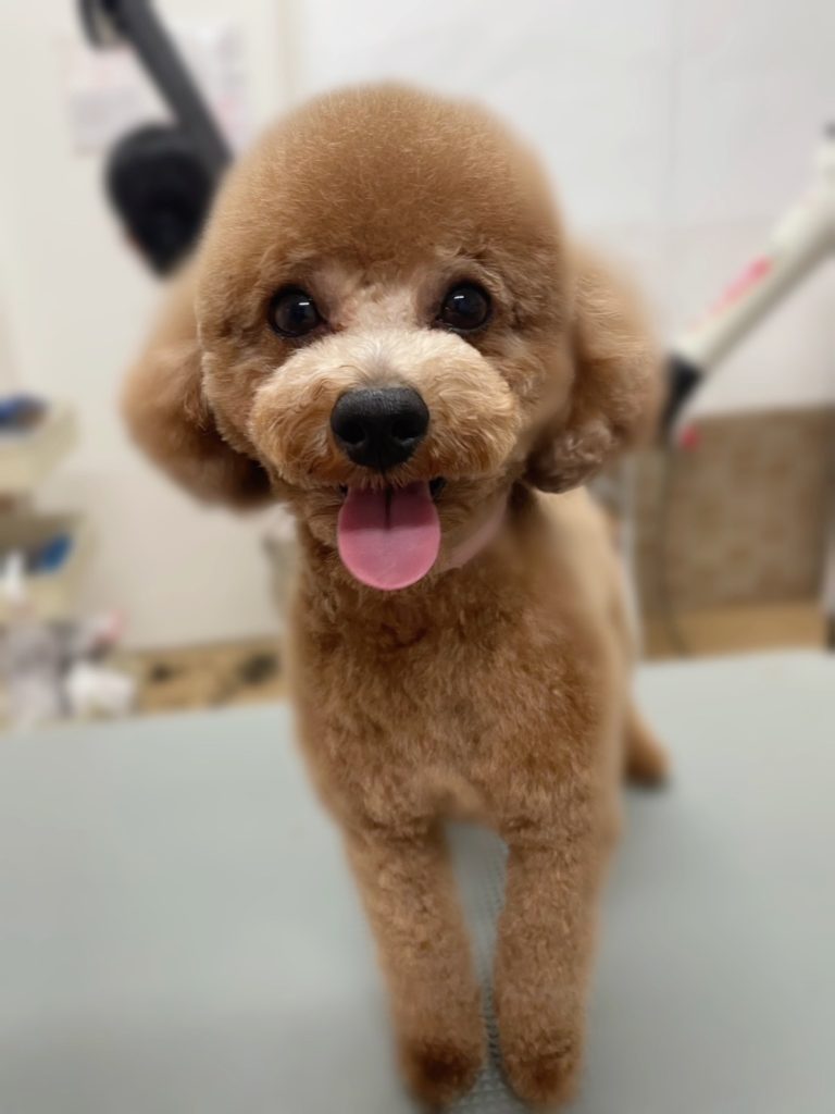 ＬＵＣＫＹくん