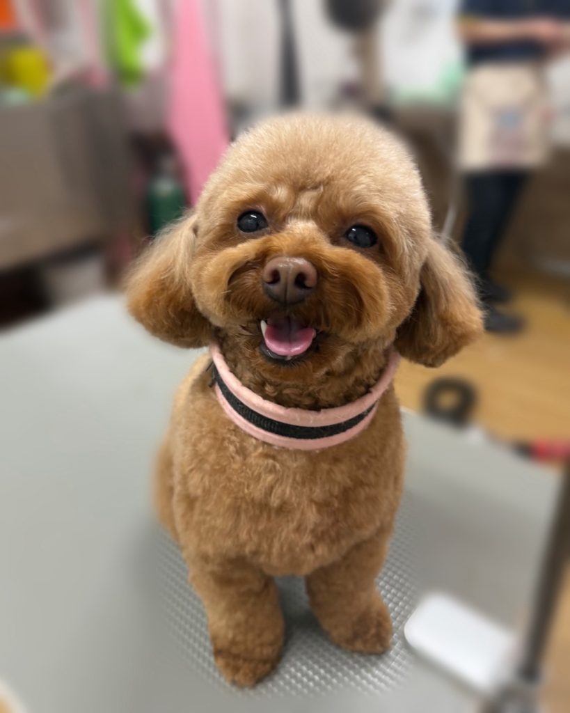 ＭＯＫＯちゃん