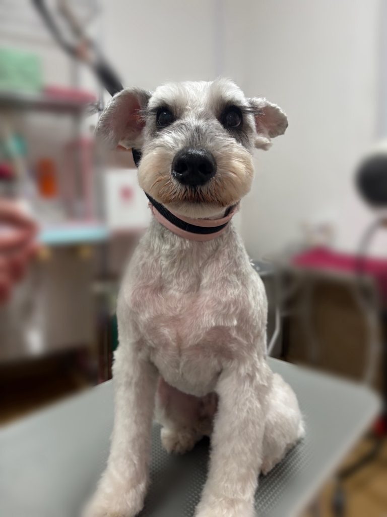 ジャッキーくん