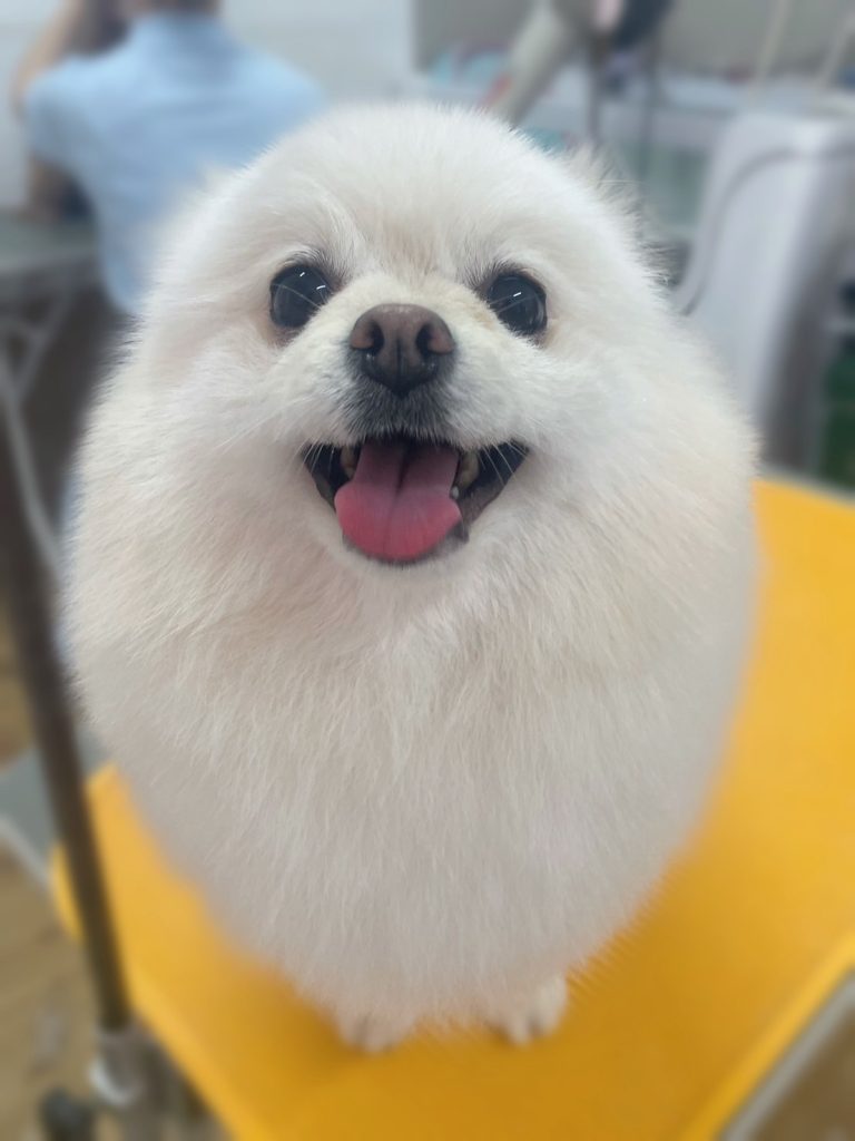 ジャーニーくん