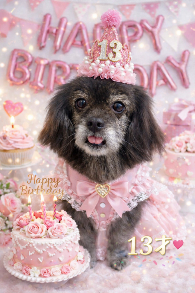 たんぽぽちゃん