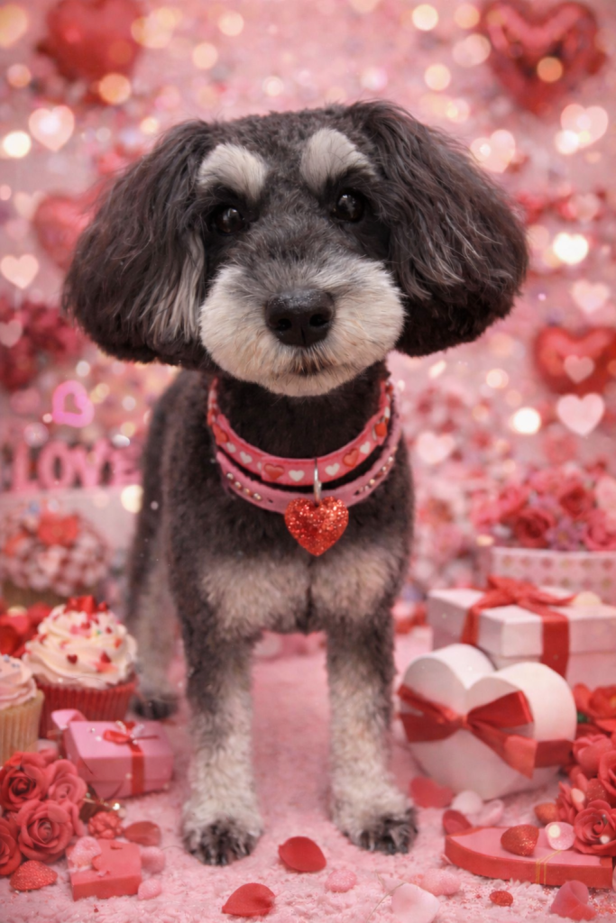 デイジーちゃん