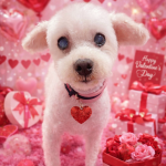 ミルキーちゃん