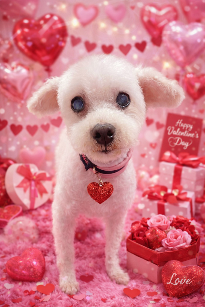 ミルキーちゃん