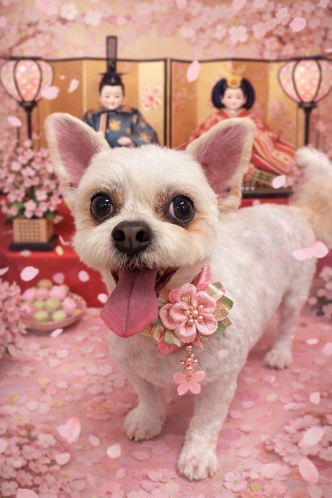 かんたろうくん