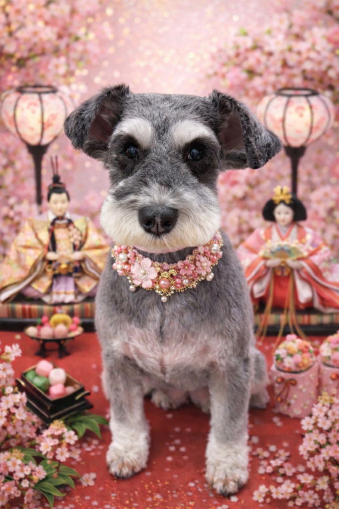 シュシュちゃん