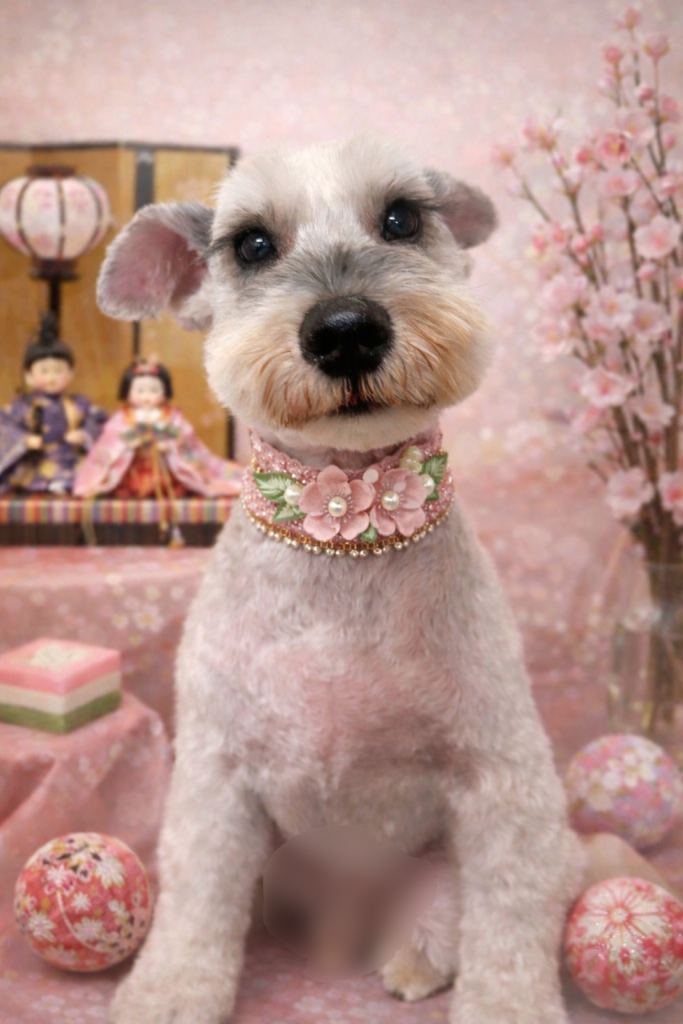 ジャッキーくん