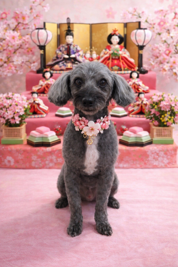 れんたろうくん